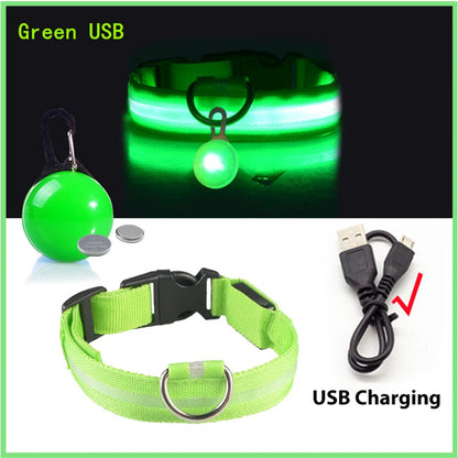 Glow in the Dark Collar