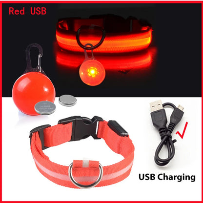 Glow in the Dark Collar