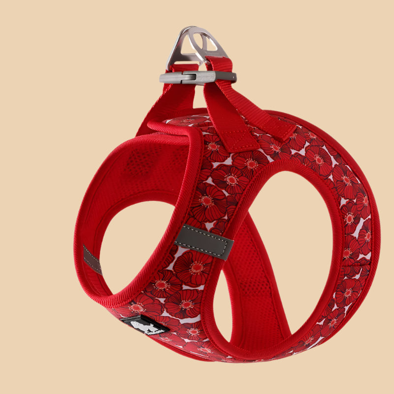 Aurora Red Harness