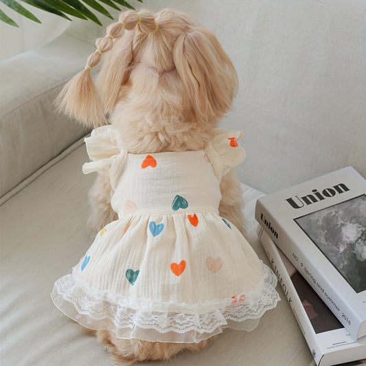 Lace & Love Dress