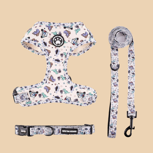 Crazy Dino Harness