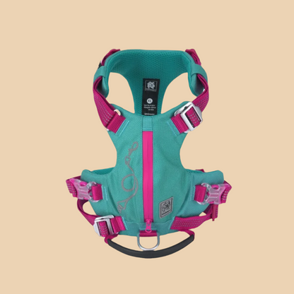 TRUELOVE Turquoise Harness