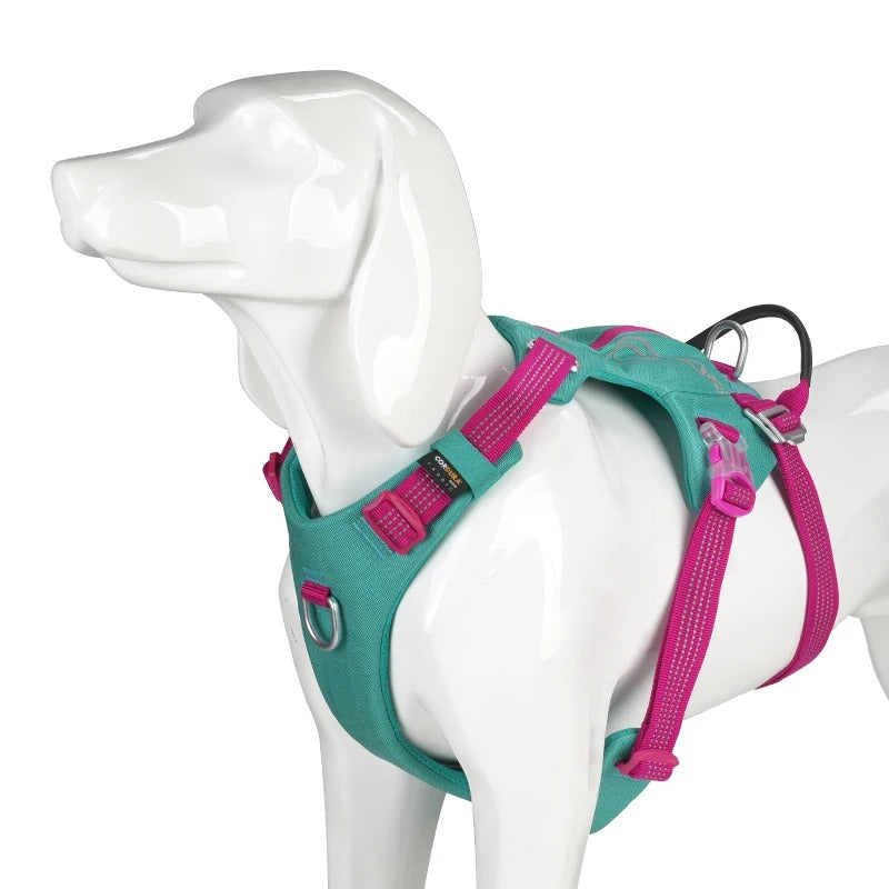 TRUELOVE Turquoise Harness